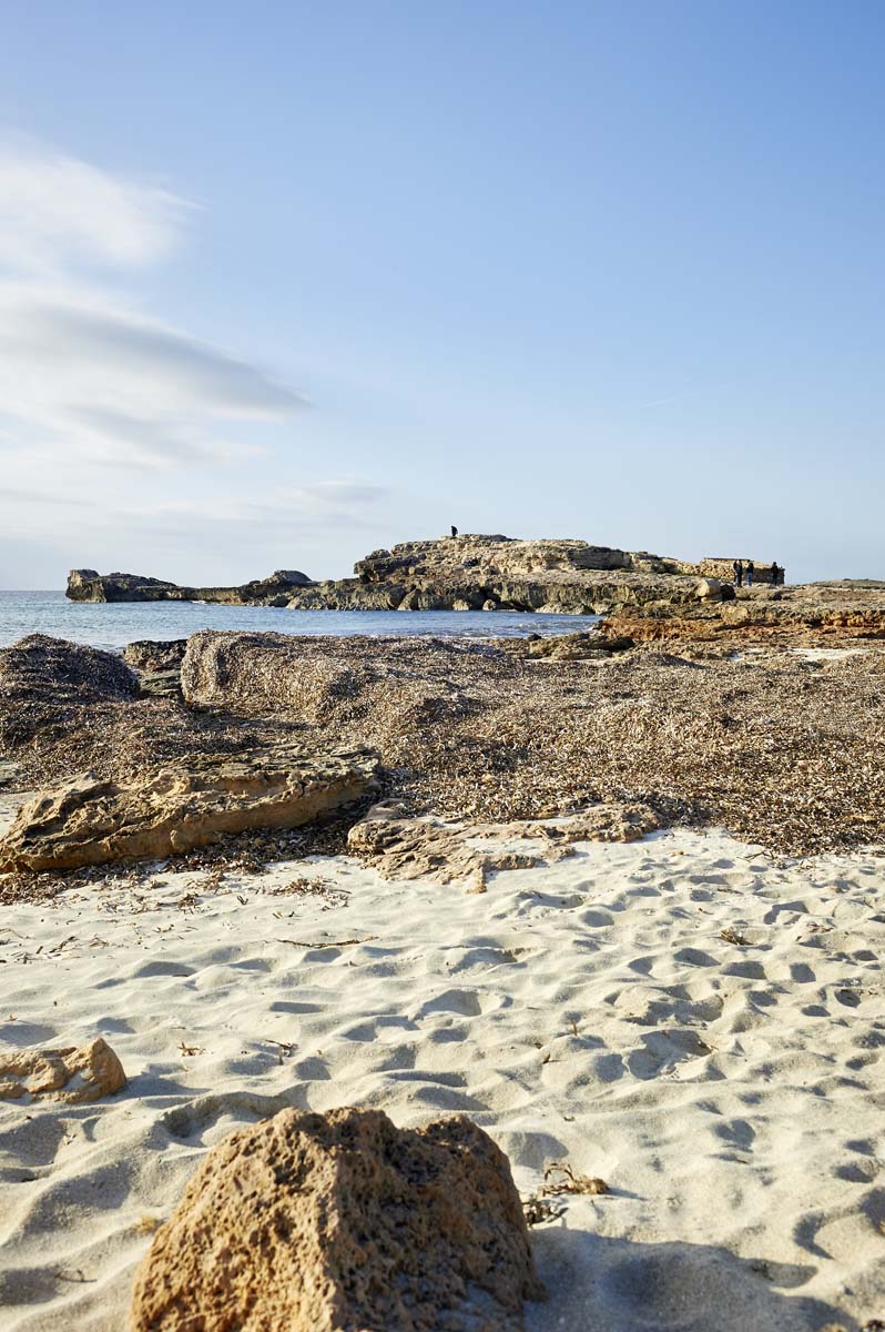Es Trenc - Seegras und Algen - das Laub des Meeres schützt den Sand des Strandes vor Wind und Wellen.