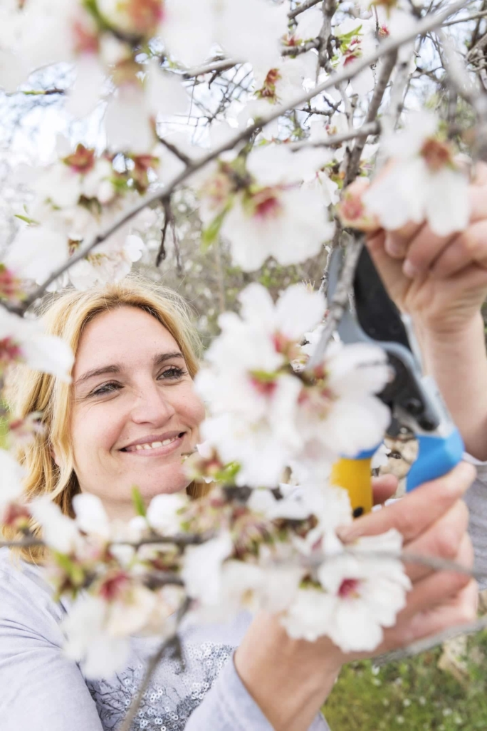 Producción de perfume Almendras de Mallorca