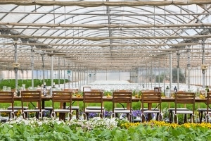 Gourmandise dans le pavillon de jardin - Mallorca