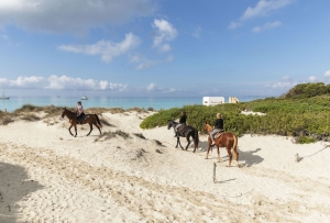 Mallorca, Es Trenc, riding tours Sa Barrala, riding with Pedro, in the grounds of the private finca, past salt lakes, pine forests and along the beach Es Trenc. With author Jutta Christoph and Dorothee Teichmann.