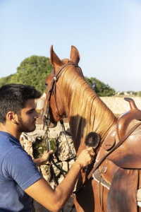 Mallorca, Es Trenc, riding tours Sa Barrala, riding with Pedro, in the grounds of the private finca, past salt lakes, pine forests and along the beach Es Trenc. With author Jutta Christoph and Dorothee Teichmann. Stable boy Miguel.