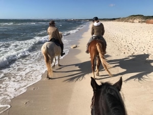 Mallorca Horse Riding Es-Trenc Isla travel Events