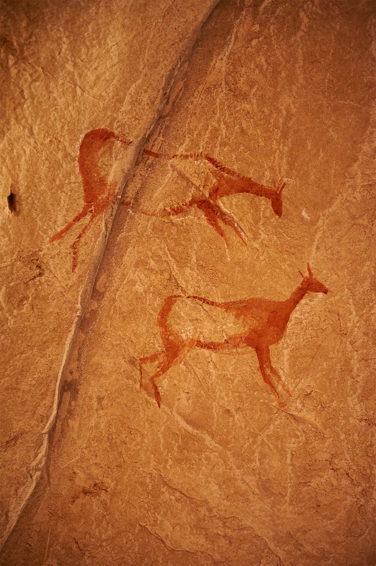 Cave painting in Sa Cova