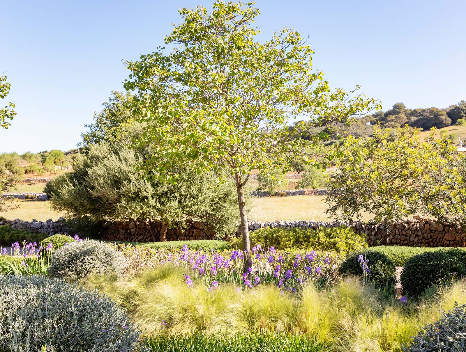 Diseño de jardines - Andrea Lechte - Mallorca