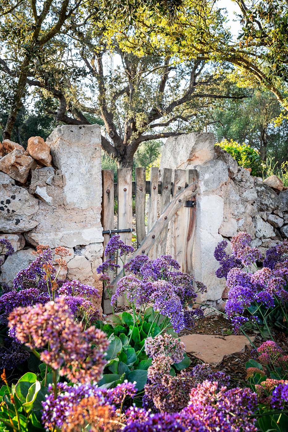 Jardines encantados con Erika Könn en Mallorca