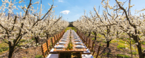 Vivre un menu de 5 plats dans la nature