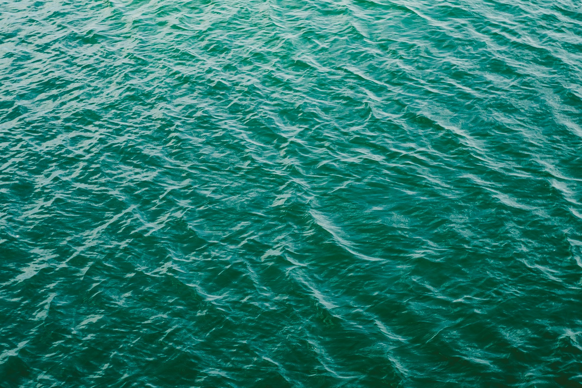 Warum das Meerwasser rund um Mallorca zunehmend grüner wird