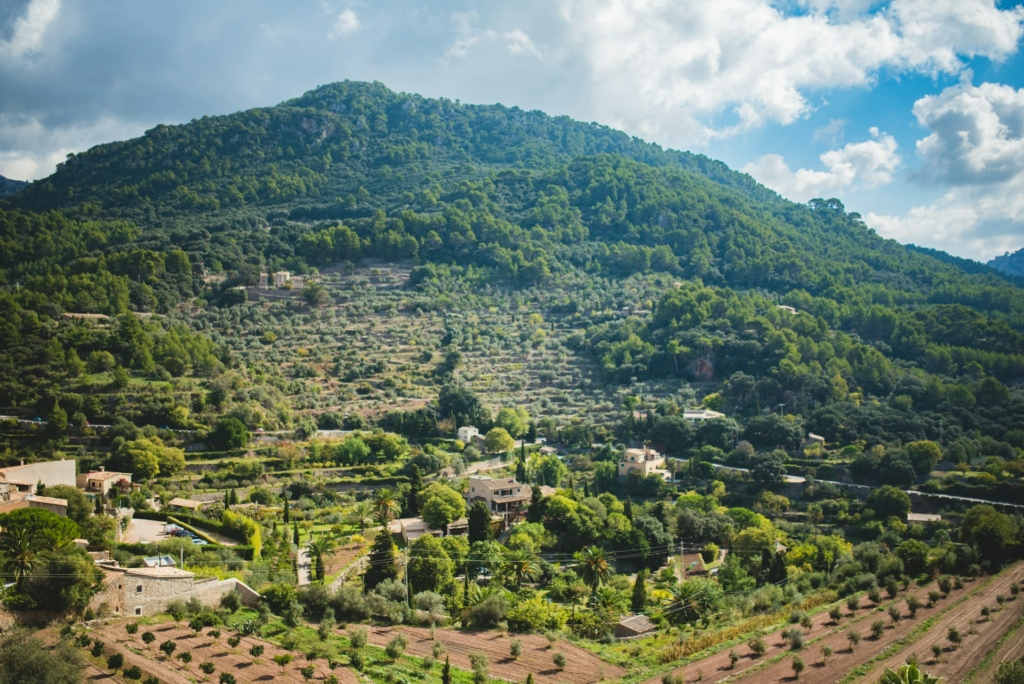 Agrotourism on Mallorca