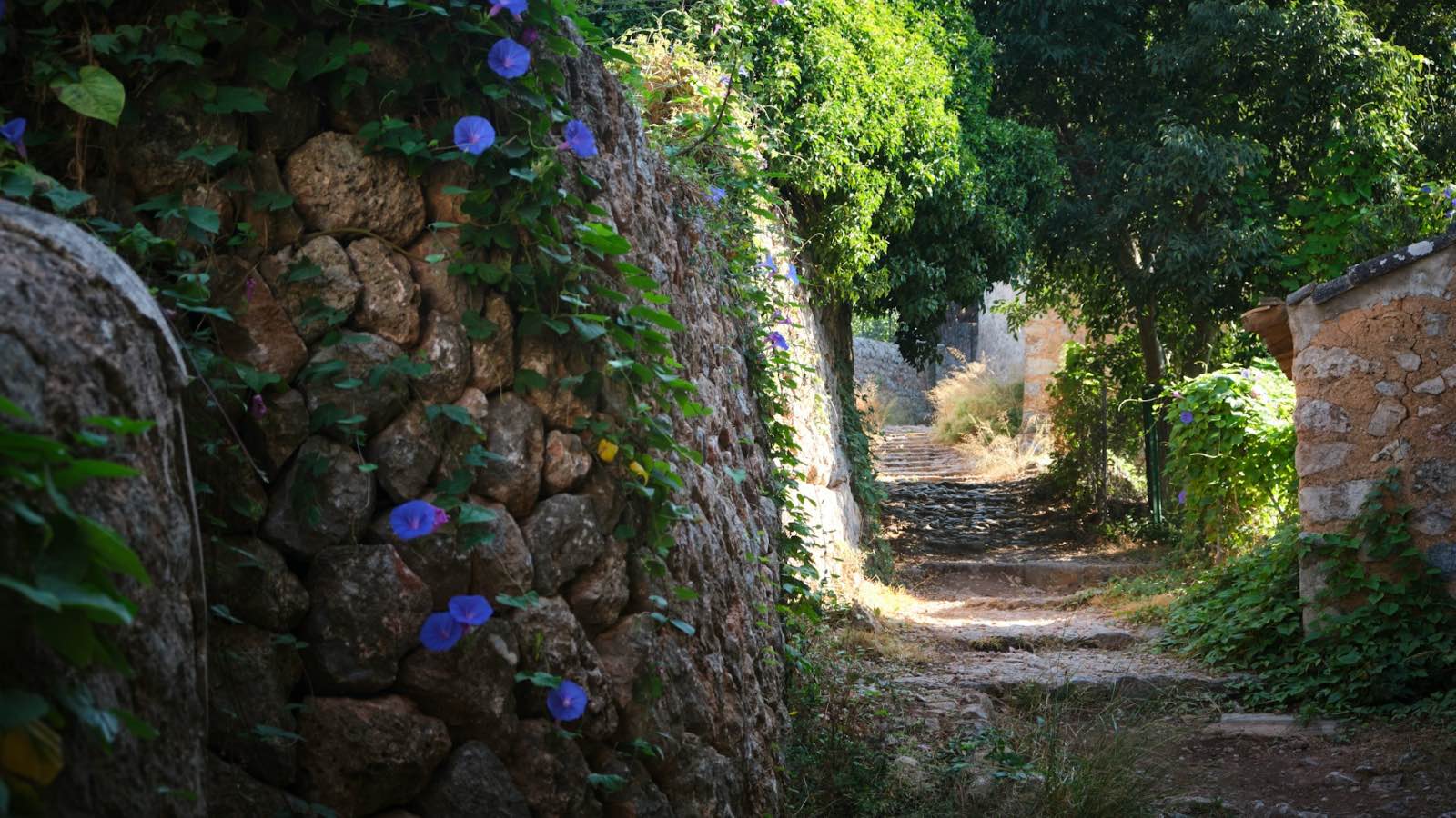 Un sueño para los amantes del senderismo: el GR-221 por la Tramuntana mallorquina es reconocido oficialmente como sendero de gran recorrido