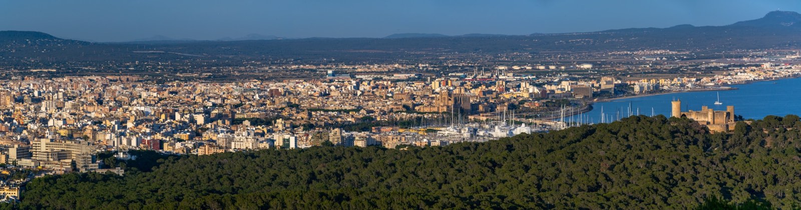 Mallorca 2050: How the island of the future could reinvent itself